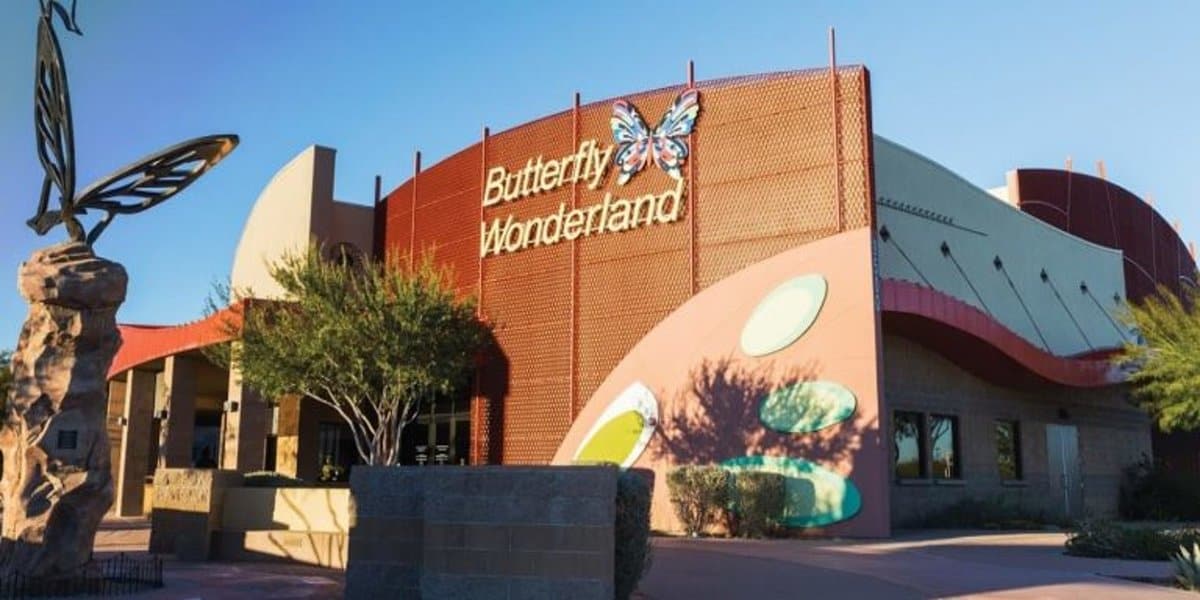 Visit-Butterfly-Wonderland-in-Scottsdale-Arizona-Feature