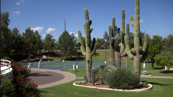 cactus+park