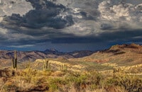 Information-On-The-McDowell-Sonoran-Preserve