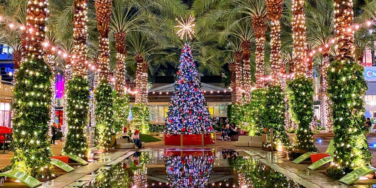 Christmas in Scottsdale