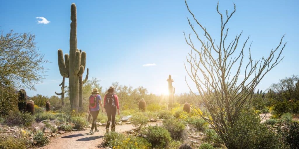 Scottsdale christmas lights 2025