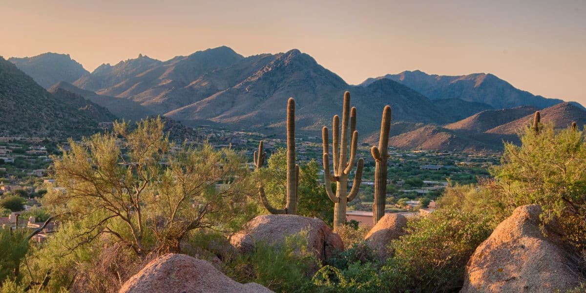 Several saguaro cacti rise from rocky desert terrain with mountain ranges in the background.